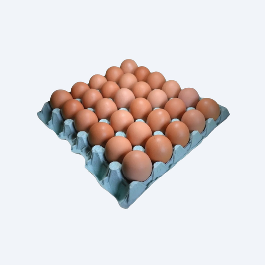 Cartela com 30 Ovos Frescos