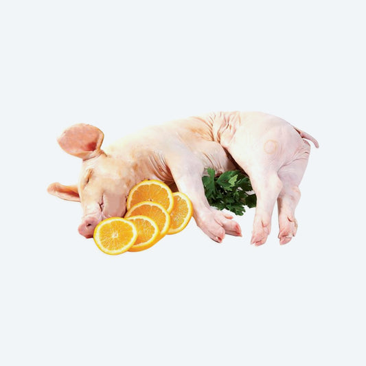 Lechón / Cochinillo